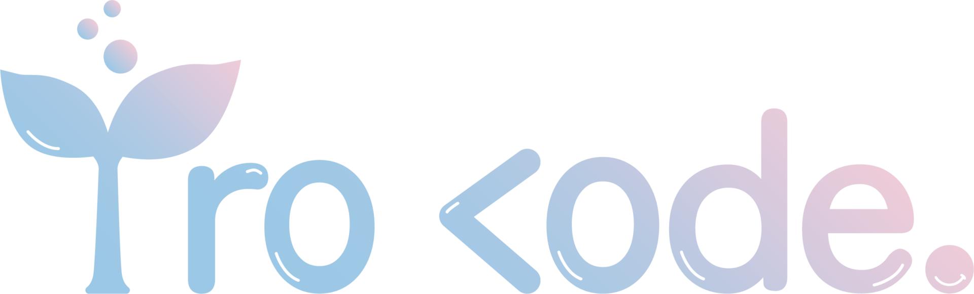 iro code .